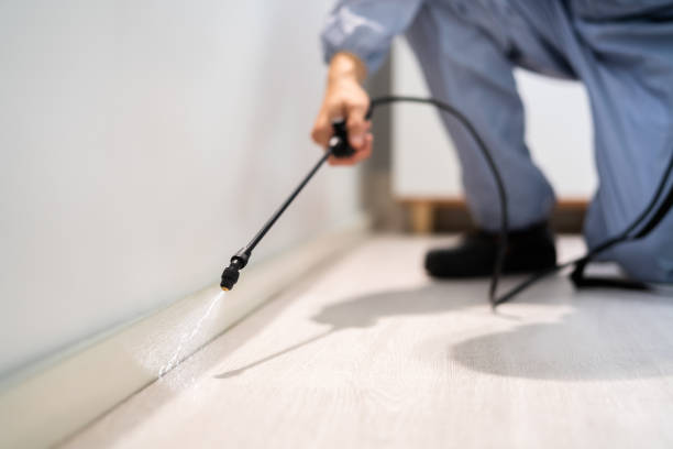 Professional exterminator conducting IPM assessment in Laurel
